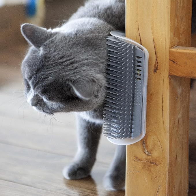 miwoowim 2 Pack 6.1" Extended Cat Self Groomer, Wall Corner Massage Brush | Mounts on walls/corners/legs with stickers or screws. Easy disassembly for cleaning. Catnip helps attract.Massage Comb