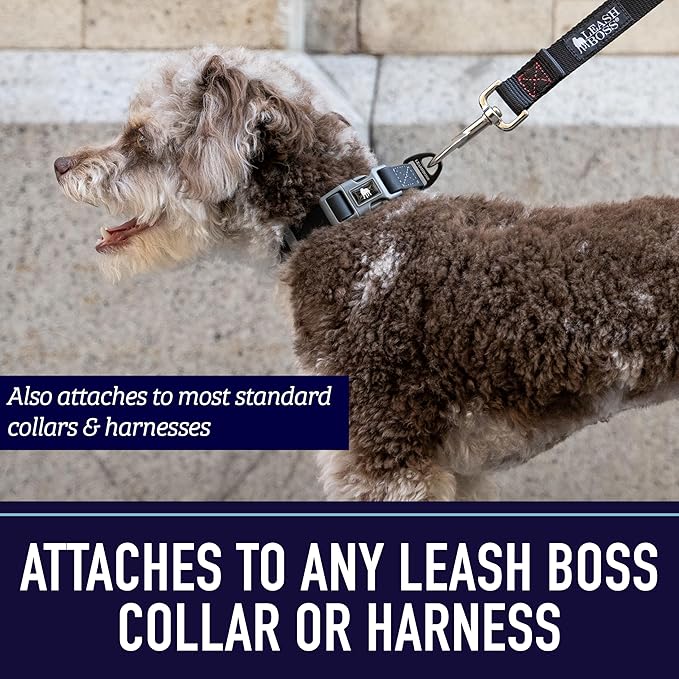 Leash Boss 10 Foot Dog Leash with Padded Handle - Long Leash for Hiking, Camping, Exploring, or Walking (10 Feet, Black/Red/Grey)