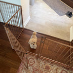 No Pawblems Full Metal Freestanding Dog Gate with Door, 30" Tall | Foldable Pet & Dog Fence for Stairs/Deck/Doorways, Indoor/Outdoor, Freestanding & Wall Mount, 156" Wide, 6 Panels, Brown
