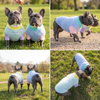 Spark Paws Sunblock Dog T-Shirt, SPF30 Protection, Lightweight Breathable Quick Dry for Dogs with Sensitive Skin - Breeze & Sorbet (Set of 2) - Size 4XL
