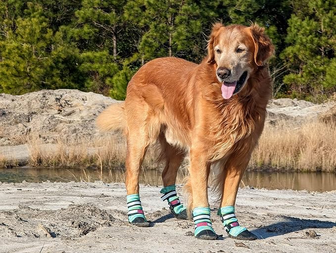 All Weather Neoprene Paw Protector Dog Boots with Reflective Straps in 5 Sizes! (Turquoise XL)