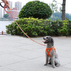 S-ETOVUS-Chain Dog Leash, Bite-Proof Metal Leash, with Padded Handle | Three Sizes 7.25FT/5.2FT/4FT, Woven From Nylon Rope And Chain, Durable And Bite-Resistant, Comfortable With Padded Handles