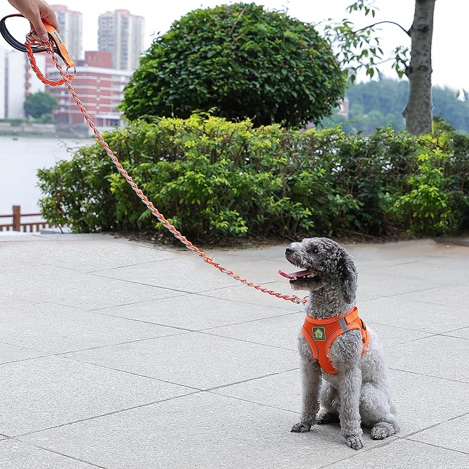 S-ETOVUS-Chain Dog Leash, Bite-Proof Metal Leash, with Padded Handle | Three Sizes 7.25FT/5.2FT/4FT, Woven From Nylon Rope And Chain, Durable And Bite-Resistant, Comfortable With Padded Handles