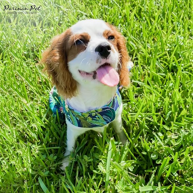 Parisian Pet Amazonia Dog Dress - Summer Clothes for Large Dogs Girl - Tropical Pet Dress - Beach Dog Outfit - Lightweight Puppy Clothes - Jungle Print Dresses for Dogs - Female Dog Apparel