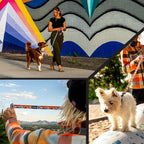Wolfgang Heavy Duty Dog Leash, Pull-Tested for Walking & Training, MountainVibes Print, Large