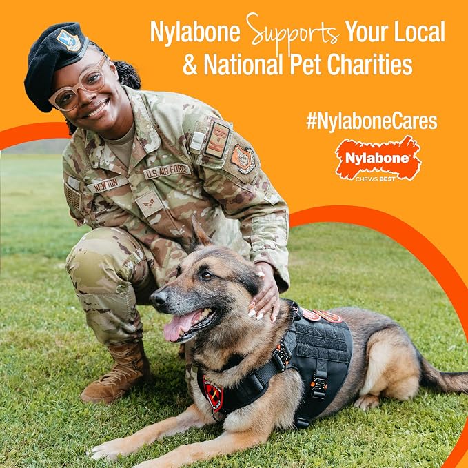 Nylabone Power Chew Easy-Hold Wishbone Dog Chew Toy, Small | Bison flavor, durable dog toys for aggressive chewers, discourages destructive chewing, for small breeds up to 25 lbs