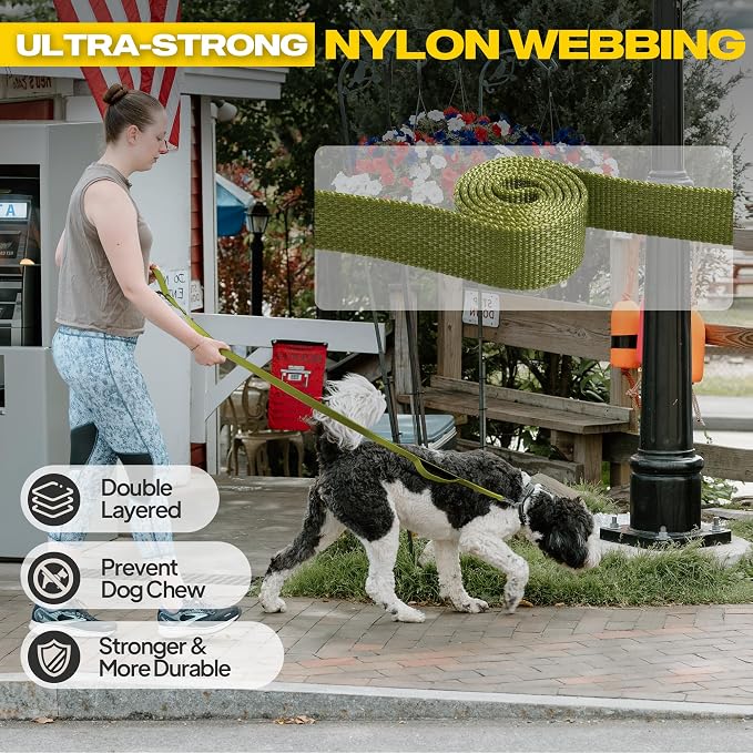 Fida 10ft Heavy Duty Dog Leash with 2 Comfortable Padded Handles, Traffic Handle & Advanced Easy Snap Hook, Reflective Walking Lead for Large, Medium & Small Breed Dogs, Green