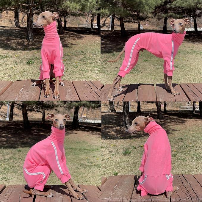 D Doggy Star Italian Greyhound Clothes Stretchy Towel Sports Onesie Outfit Whippet for Dog Coat (L,TWL NeonPink)