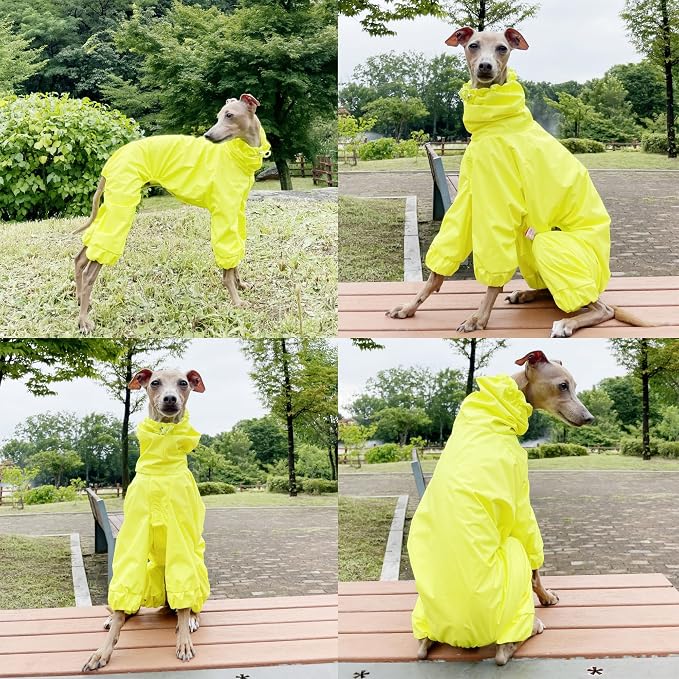 D Doggy Star Italian Greyhound Raincoat Waterproof Jacket Windbreaker Clothes Whippet for Dog (S,Raincoat Yellow)
