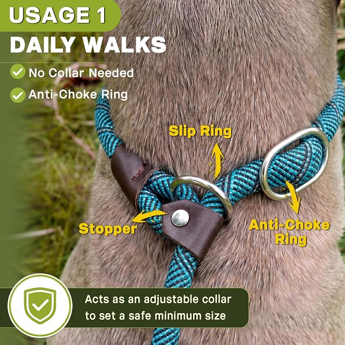 Fida Durable Slip Lead Dog Leash, 6 FT x 1/2" Heavy Duty Loop Comfortable Strong Rope Lead for Large, Medium Dogs, No Pull Pet Training with Highly Reflective, Blue