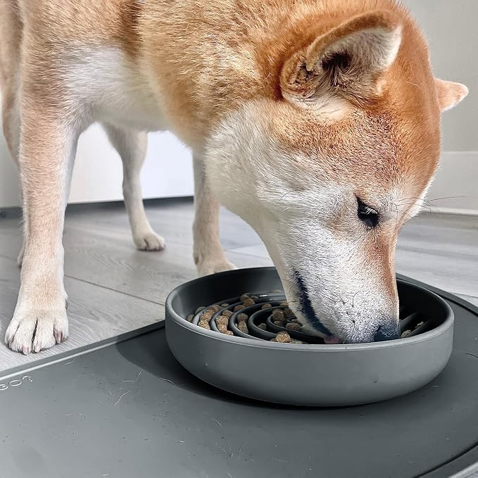 Slow Feeder Dog Bowls - Medium Size Silicone Slow Eating Dog Bowl for Puppies & Dogs with Suction Cup -Dishwasher-Safe,Lick Mat Design,Reduces Gulping,for All Breeds,7.5”x1.5”- Charcoal