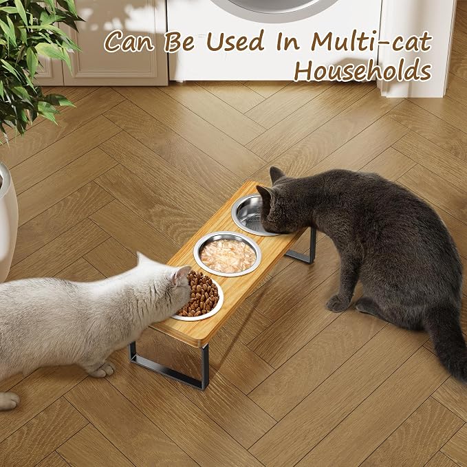 Elevated Cat Bowls with 3 Stainless Steel Bowls | 10° Tilted Anti-Vomiting Raised Cat Food Bowl for Small Cats and Puppies Pet Bowl with Stand