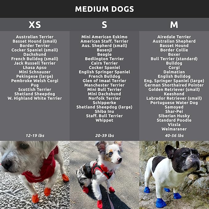PawZ Rubber Dog Boots for Medium Paws - All-Weather Waterproof Dog Shoes, Anti-Slip Traction for Rain, Snow, Mud & Hot Pavement - Pull-On Dog Booties, Black - Medium (2.5" - 3") - Pack of 24