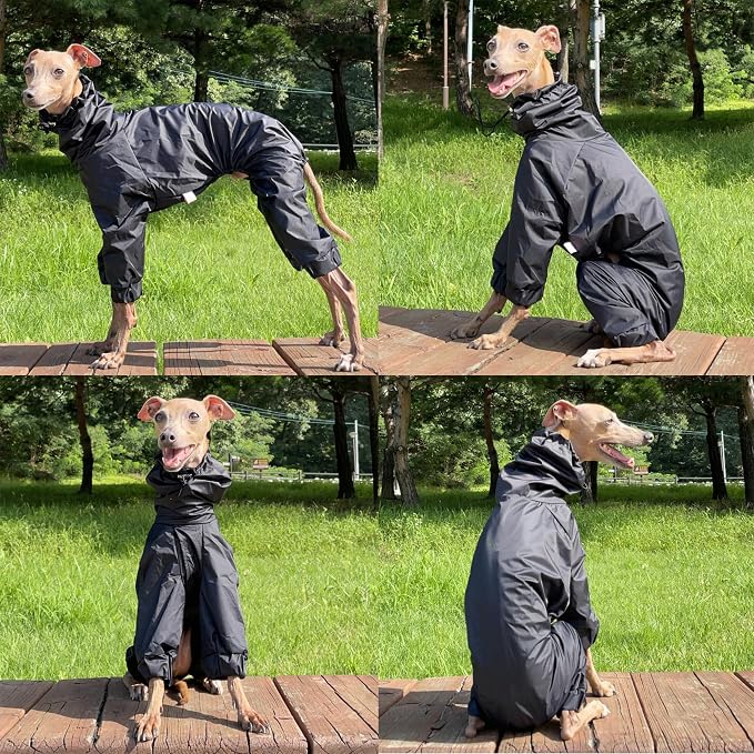 D Doggy Star Italian Greyhound Raincoat Waterproof Jacket Windbreaker Clothes Whippet for Dog (3XL,Raincoat Black)