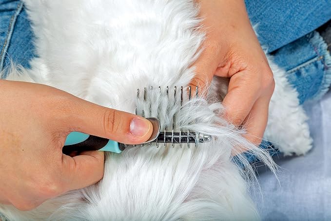 Pixie Paws Grooming Pet Brush 6 Piece Set, Dog and Cat Kit, Dematting Comb, Deshedding Fur, Toothbrush Clean Teeth, Remove Knot Tangles, Nail Clippers, Comfortable Handle - 530004E
