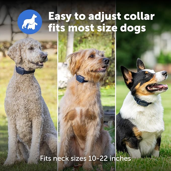PetSafe Core Dog Trainer Remote Collar, 1000 Ft Range, 15 Static Levels | Tone/Vibration//15 Levels of Static, Waterproof Collar, 1000-Ft Range for Off-Leash Obedience Training