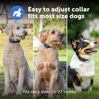 PetSafe Core Dog Trainer Remote Collar, 1000 Ft Range, 15 Static Levels | Tone/Vibration//15 Levels of Static, Waterproof Collar, 1000-Ft Range for Off-Leash Obedience Training