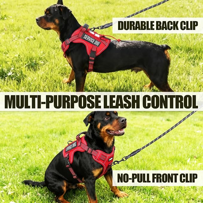 Service Dog Tactical Vest Harness and Leash Set Large Sized Dog Emotional Support- Tactical Dog Harness Training Collar with Name (Red, XL)