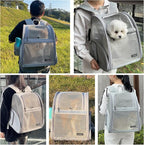 Cat Backpack Carrier for Small Dogs and Medium cat Puppy Kitten Bunny Pet Carrier Backpack Collapsible with Fully Ventilated Mesh with Safety Leash (Gray, 12.9" L x 10.62" W x 15.5" H - M)