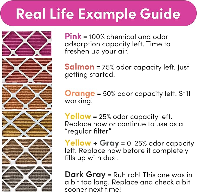 20x24x1 Air Filter (2-Pack) | Made in the USA | Color Changing | Remove Cat and Dog Odor | MERV 8 for Pet Hair Dander and Dust | 19.5"x23.5"x0.75" Exact Size