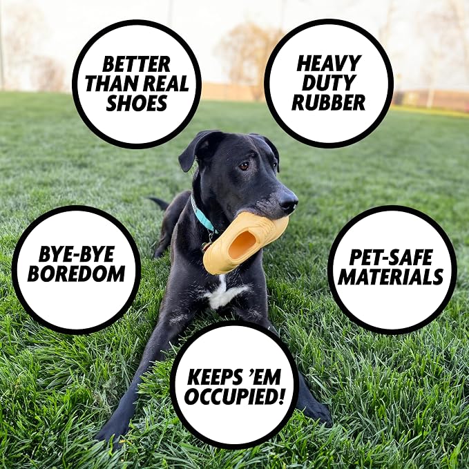 Shoe Realistic Sneaker Heavy-Duty Tough Dog Toy Aggressive Chewers, Small, Medium, Large Dogs Dandelion Yellow Chicken