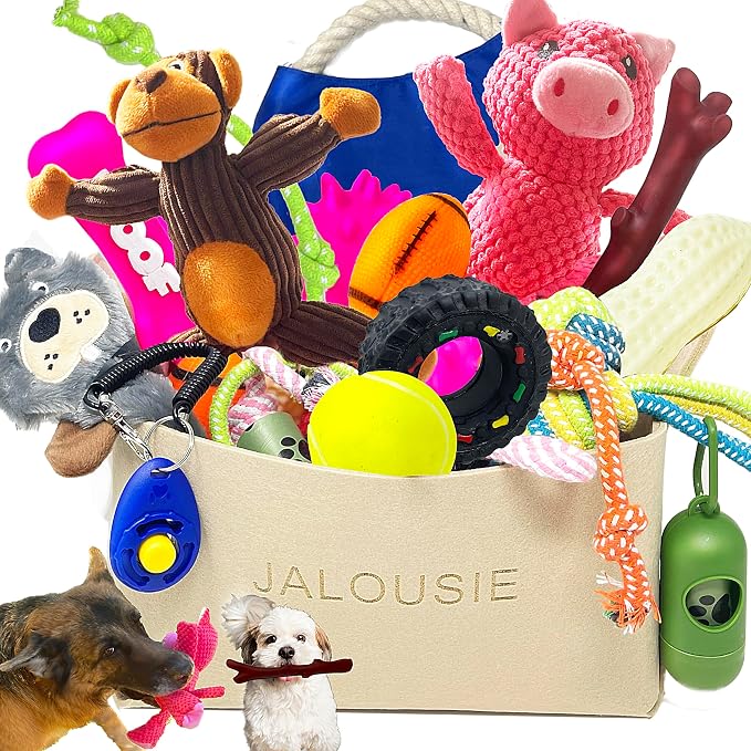 Jalousie Multipack Dog Squeaky Toys Bulk Bundle Pup Toy - Puppy Toys for Pets for Small Medium Breed (24 PCs Gift Basket)