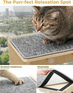 Pecute Double Cat Shelves with Scratching Post for Wall & Window | Solid Wood Frame, Strong Suction Cups, Washable Cover Mat, Cats Perch Bed for Birds Watching Inside, Indoor Cat Hammock Bed