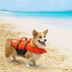 Outward Hound Granby Splash Orange Dog Life Jacket, XS