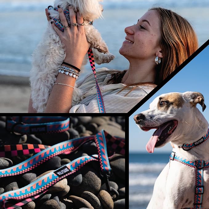 Wolfgang Heavy Duty Dog Leash, Pull-Tested for Walking & Training, BuenaOnda Print, Small