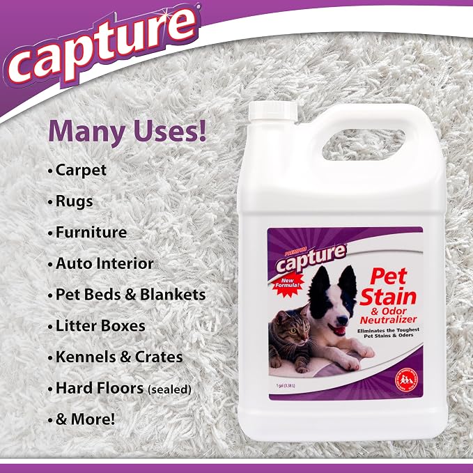 Capture Pet Stain & Odor Remover - Enzyme Pet Odor Eliminator - 1 Gallon | Carpet Stain Remover for Cats & Dog Pee Smell, Cat Urine Destroyer, Carpet Cleaner Spray