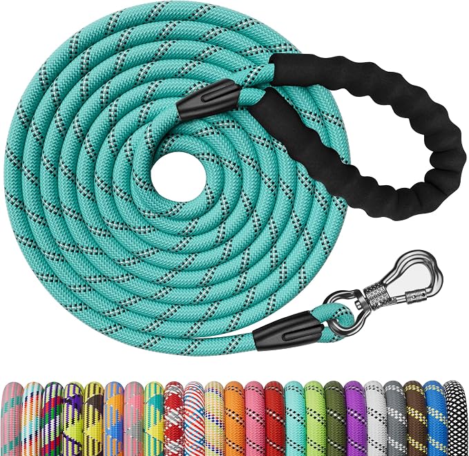 NTR 20FT Training Leash for Dogs, Reflective Nylon Rope with Swivel Lockable Hook and Comfortable Handle, Suitable for Small to Large Dogs - Teal