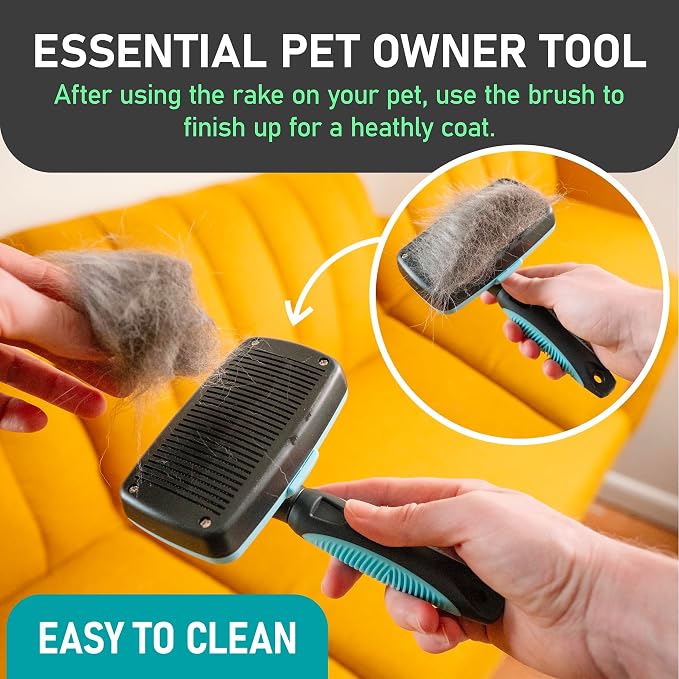 Maxpower Planet Dog Rake and Brush Set for Shedding, Undercoat & Mats | Deshedding Tool, Detangling, Self-Cleaning Design, Medium & Long Hair, For Cats Too, Gentle Grooming