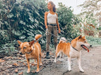 Tuff Pupper Heavy Duty Hands Free Dog Leash | Two Small/Medium Dogs Up to 90 lbs | Comfortable Shock Absorbing Bungee | Reflective Padded Handles | Lumbar Waist Belt 28-50" | Jogging Running Leash