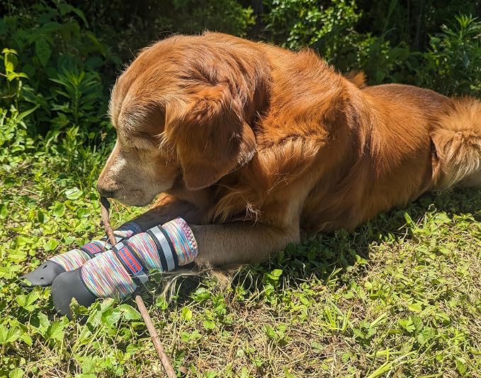 All Weather Neoprene Paw Protector Dog Boots with Reflective Straps in 5 Sizes! (Multicolor XL)