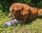 All Weather Neoprene Paw Protector Dog Boots with Reflective Straps in 5 Sizes! (Multicolor XL)