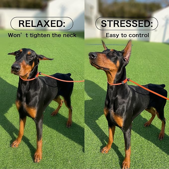 HowGo Slip Lead Dog Leash, 2 Spring-Loaded Slide Stopper (Orange 3.6FT) | Paddle Handles Heavy-Duty Training Lead Collar,Lightweight Aluminum Nylon,No-Pull Walking,Large Medium Breeds,Dog Trainer
