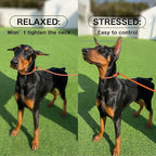 HowGo Slip Lead Dog Leash, 2 Spring-Loaded Slide Stopper (Pink 5.0FT) | Double Paddle Handles Heavy-Duty Training Lead Collar,Lightweight Aluminum Nylon,No-Pull Walking,All Breeds, Dog Trainer
