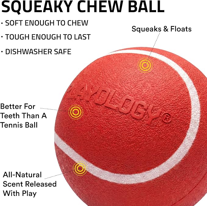 Playology Dog Toys | Squeaky Chew Ball for Dogs | Beef Scented Medium Dog Ball | Bouncy Floating Chew Toys for Fetch