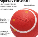 Playology Dog Toys | Squeaky Chew Ball for Dogs, Value 3-Pack | Beef Scented Small Dog Balls | Bouncy Floating Chew Toys for Fetch