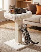 Morden Cat Scratching Post with Top Plush Bed for Indoor Cats | Removable & Washable Perch, Small Morden Cat Tree, Cat Tower with Scratch Post, Natural Sisal, White