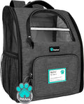 PetAmi Dog Backpack Carrier for Small Medium Dogs Large Cats up to 18 lbs, 2 Side Entry, Structured No-Collapse Frame, Airline Approved Ventilated Pet Backpack for Hiking Camping Travel, Charcoal