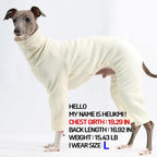 D Doggy Star Italian Greyhound Clothes Stretchable Onesie Whippet for Dog (2XL,Ribbed Ivory)