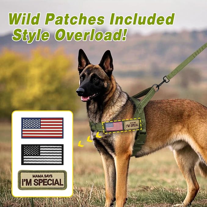 Forestpaw No Pull Dog Harness with Large Handle,Comfortable,XL,Green | Adjustable Fits Chest 32-39",80-110 lbs,Slip On,Quick Release Buckle,Easy Control,Soft Padded,for Large Dogs Walking Training