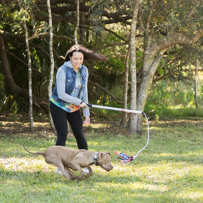 Squishy Face Studio Flirt Pole V2 with Lure - Durable Dog Toy for Fun Obedience Training & Exercise, Rainbow Tie Dye, Regular - 36 inch