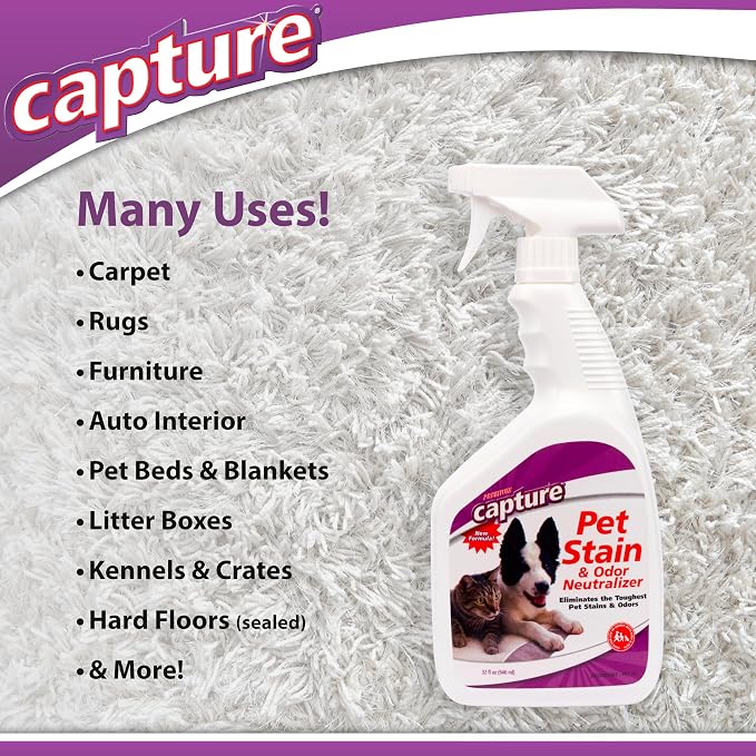 Capture Pet Stain & Odor Spray - Enzyme Pet Odor Eliminator - 32oz (2 Pack) | Carpet Stain Remover for Cats & Dog Pee Smell, Cat Urine Destroyer, Carpet Cleaner Spray