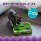 Catstages Grass Patch Hunting Box - Interactive Indoor Cat Toy with Faux Grass & 3 Jingle Balls - Encourages Exercise, Mental Stimulation & Natural Hunting Instincts