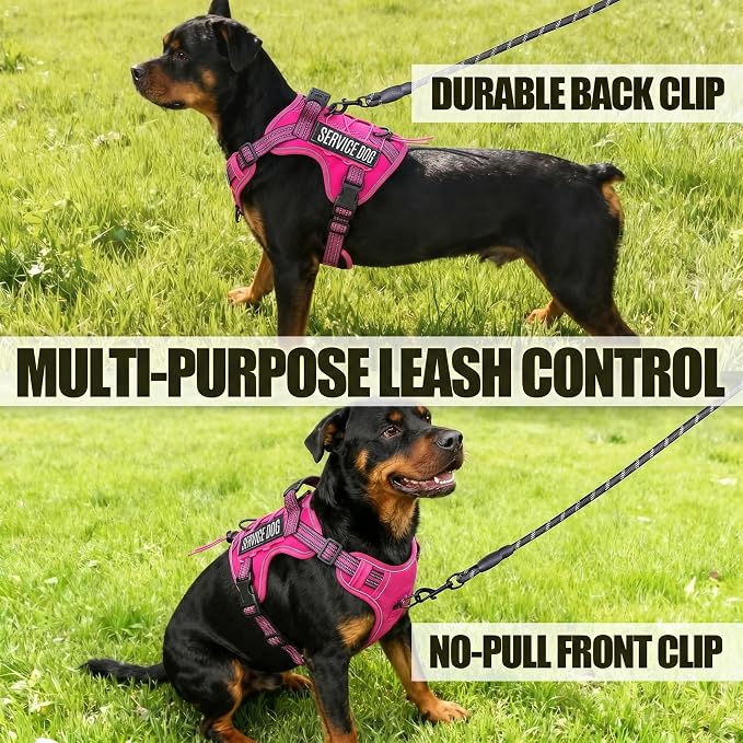 Service Dog Tactical Vest Harness and Leash Set Large Sized Dog Emotional Support- Tactical Dog Harness Training Collar with Name (Rose Red, S)
