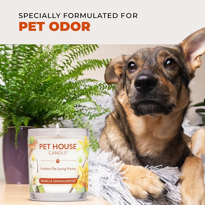 Pet Odor Candles 2 Pack, Plant-Based Soy, Clean Burning Scented Candles for Pet Loving Homes - Pumpkin Spice, Apple Cider 2 Pack