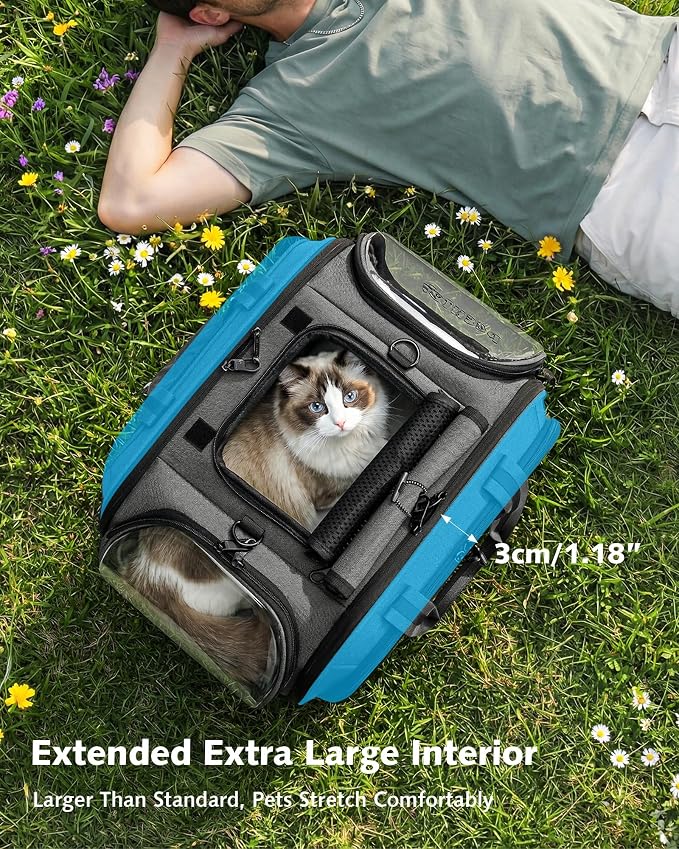 Pecute Cat Carrier with Bubble Window & Sunshade for Dogs Cats, Gray L | Dual bubble windows & top sunshade, 70% more airflow mesh, Impact-resistant stable frame, Locking zippers, Fits up to 15 lbs