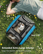 Pecute Cat Carrier with Bubble Window & Sunshade for Dogs Cats, Gray L | Dual bubble windows & top sunshade, 70% more airflow mesh, Impact-resistant stable frame, Locking zippers, Fits up to 15 lbs